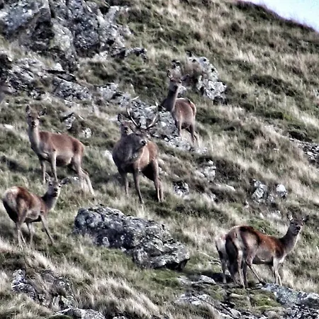 The White Lion * Penrith